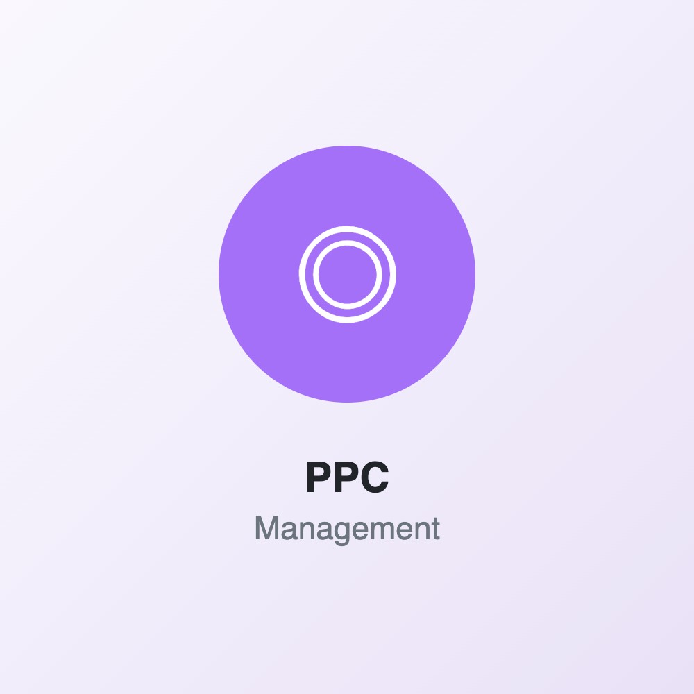 PPC reklamos valdymas (Bazinis)