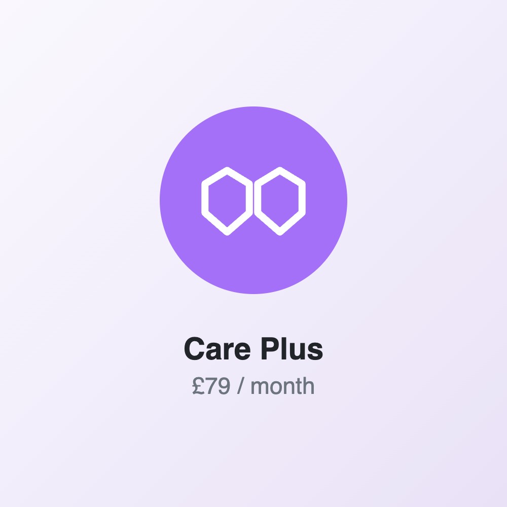 Svetainės priežiūra: profesionalus paketas — £79/mėn