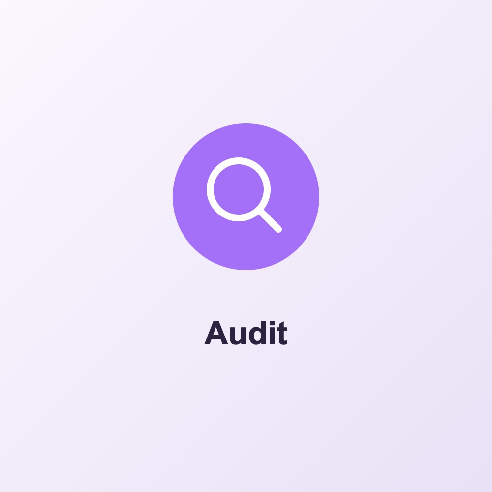 Reputation Audit — £170